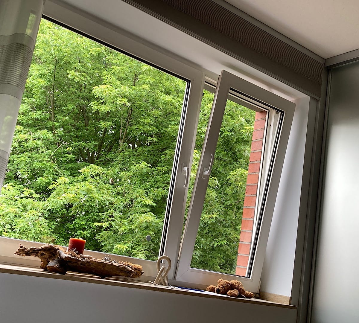 Geöffnetes Fenster mit Blick auf grüne Bäume