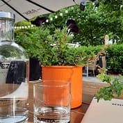img_2494.jpg Restauranttisch mit Blumentopf und Trinkwasserflasche