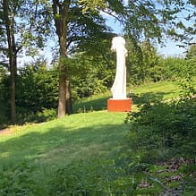img 7545.jpg img 7545.jpg