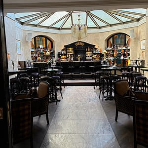 Elegante Jungedstilbar mit Deckenfenster und dunklen Möbeln