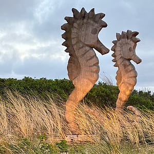 Holzskulpturen von Seepferdchen im hohen Gras vor dem Restaurant Samoa Seepferdchen in Ramtum / Sylt