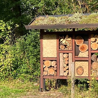 img_2490.jpg Insektenhotel im Grünen mit Holzdach