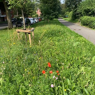 img_2320.jpg Blumenwiese mit Wegweiser neben Gehweg