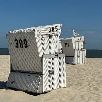 img 2025 05 17 151401 Möwe sitzt auf Strandkorb an sonnigem Strand von Hörnum / Sylt