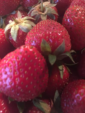 Erdbeerliebe Erdbeeren in Nahaufnahme