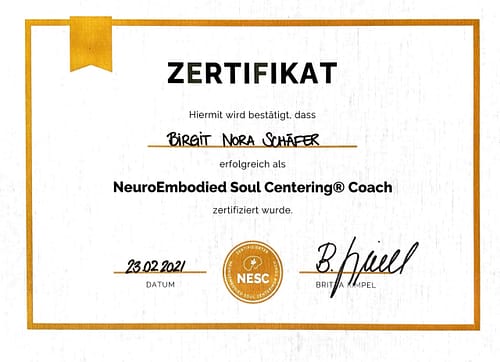 nesc zertifikat coach NESC zertifikat coach