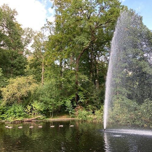 img_2488.jpg Brunnen und Enten im grünen Park