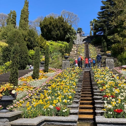 img_3969.jpg Bepflanzte Treppe mit Personen in sonnigem Garten