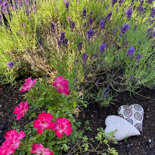 Rosa Blumen und Lavendel mit dekorativem Stein