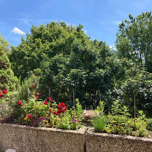 img 4786.jpg Bunter Garten mit Blumen und Bäumen im Sonnenlicht