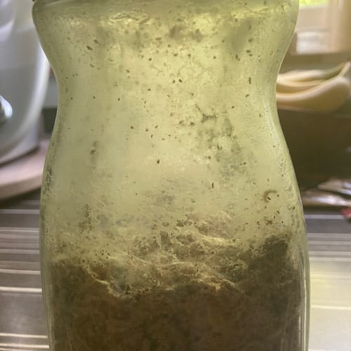 img 5487 1.jpg Verschmutzte Glasflasche auf Küchentheke