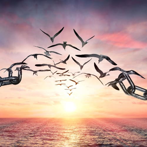birgit-nora-schaefer-spiritualitaet-ketten-sprengen-vogelkette-fliegt-richtung-sonnenuntergang-1000x1000 Möwen fliegen bei Sonnenuntergang aus Ketten
