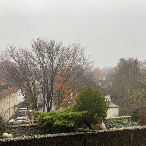 Verschneite Landschaft mit Bäumen und Hühnern