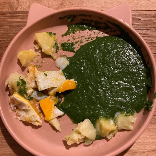 90EDC902-D9C5-4501-9C38-92A8FBEC46BB Teller mit Spinatsauce und Eierspeise