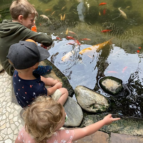 Noah und Emma füttern Koikarpfen in einem Teich