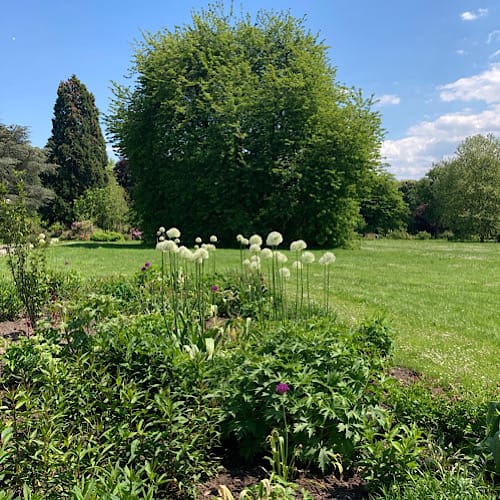 Schöner Blick auf Blumen, Bäume und den Rasen an sonnigem Tag im Westfalenpark, Dortmund