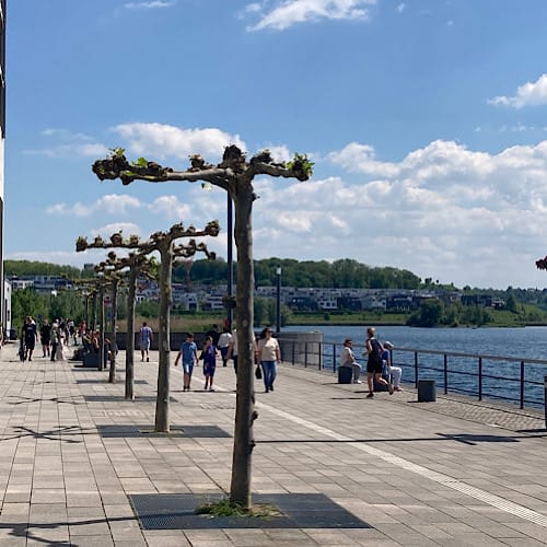 Menschen spazieren an der Uferpromenade mit Bäumen vom Phönixsee in Dortmund