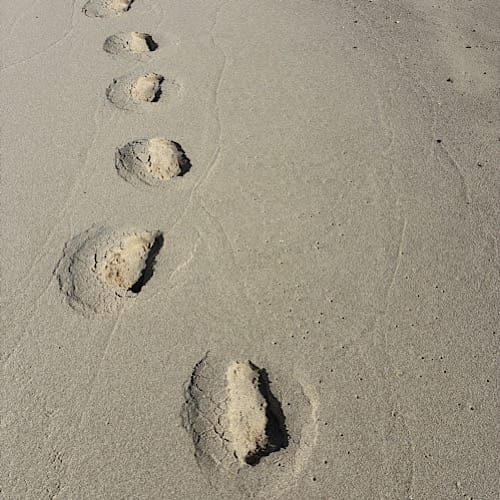Fußabdrücke im Sand am Strand
