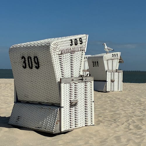 Möwe sitzt auf Strandkorb an sonnigem Strand von Hörnum / Sylt