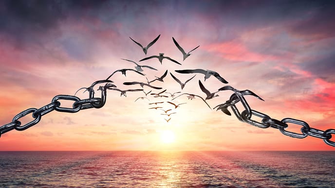 birgit-nora-schaefer-spiritualitaet-ketten-sprengen-vogelkette-fliegt-richtung-sonnenuntergang-2000x1125 Zugvögel fliegen gegen den Sonnenuntergang und symbolisieren dabei eine Gliederkette, die in der Mitte auseinanderbricht