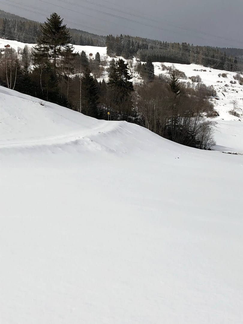 Schneebedeckte Landschaft mit Bäumen und Hügeln