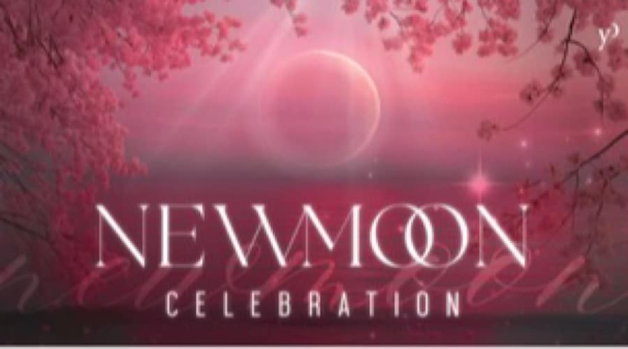 Rosa Fantasygrafik mit „Newmoon Celebration“-Schriftzug